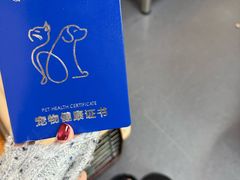 -申普宠物医院·心脏介入·心血管微创(总院)