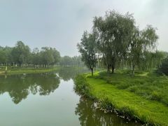 -东郊湿地公园