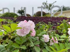 -UNIUNI(凯瑟琳广场店)