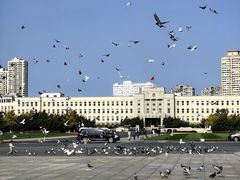 -大连人民广场