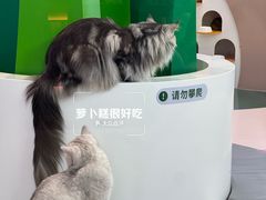 -PO PARK东方宝泰