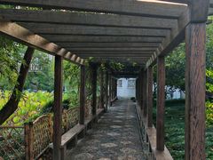 -上海醉白池公园