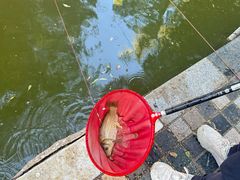 -酷鱼垂钓CLUB(朝阳区博大路店 )