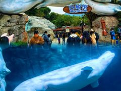 -珠海长隆海洋王国