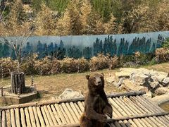 -济南野生动物世界