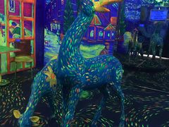 -天津梵高星空艺术馆(天河城旗舰店)
