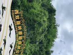 -西双版纳原始森林公园