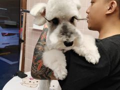 -FAELING PETS美天灵宠物(富力广场店)