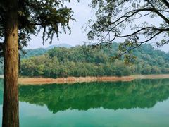 -孔雀湖生态旅游区