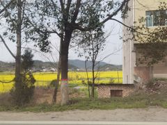 -明月山天沐温泉度假村