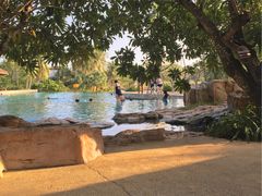 -三亚珠江南田温泉度假区