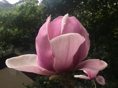 -广州市流溪河国家森林公园