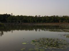 -大湾区中央湿地公园