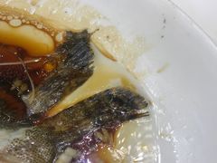 -锦粤宫·精致粤菜(深圳北站店)