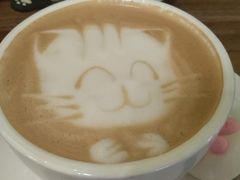 -猫色咖啡·猫咖
