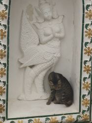 -BULB STUDIO 巴柏明星发型工作室