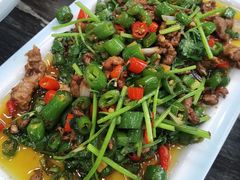 -靖远尕六美味羊羔肉