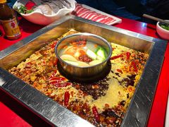 -二荆条·蜀鲜汇城市森林火锅