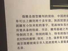 -南京市民俗博物馆(甘熙宅第)