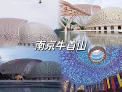 -牛首山文化旅游区
