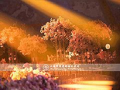 上海浪漫爱都婚礼策划-上海波特曼丽思卡尔顿酒店