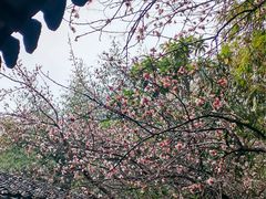 -江宁织造博物馆