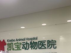 -悦宠凯宝动物医院·牙科·皮肤科(朝阳北路店)