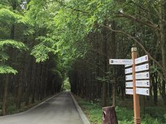 -同里国家湿地公园