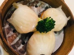 虾饺皇-禄興記香港大排档(歌斐中心店)