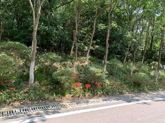 -金陵矩阵(聚宝山公园店)