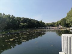 -平房公园