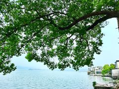 -东钱湖旅游度假区