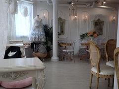 大堂-共舞时光猫咖·狗咖(新街口店)