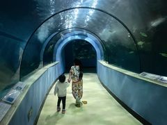 -苏州海洋馆