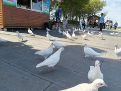 -天津妈祖文化园