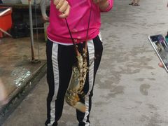 -拉威海鲜市场