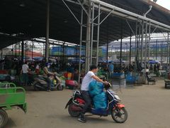 -江杨农产品批发市场