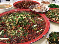 -东吴霸王兔(松青路店)