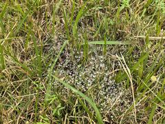 -福建鲤鱼洲酒店