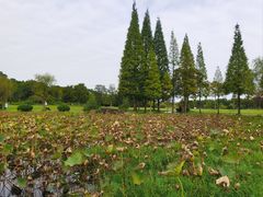 -宜兴龙背山森林公园