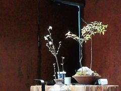 -天水蔬食料理(树德之光店)