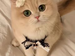 -美迦爱-牙专科·兔科·骨科诊疗中心(北苑店)