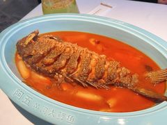 -阿五黄河大鲤鱼(纬三路店)