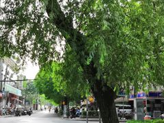 -复旦大学正大集团体育馆