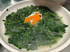 上汤枸杞远-聚福宝合苑食府(南头镇店)