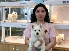 -翊宠yipet猫狗购宠庄园