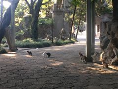 -叶家花园