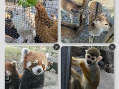 -苏州太湖西山岛开心农场