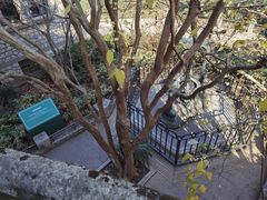 -紫金山天文台