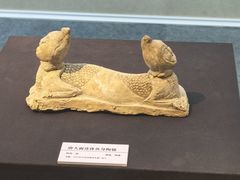 -安阳博物馆